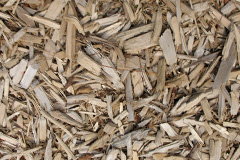 biomass boilers Ardens Grafton